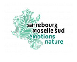 Tourisme Sarrebourg Le Souffle du Saule